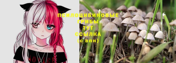 молекула духа Армянск