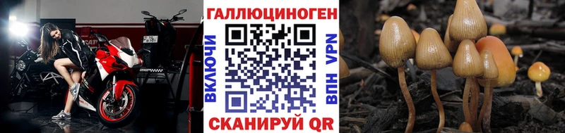 гидра   Покров  Псилоцибиновые грибы ЛСД 